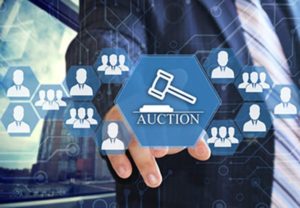 Bids online auctions